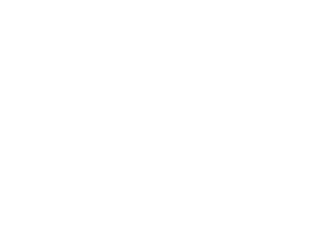 ZAR 2010