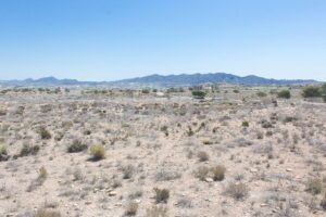Venta de Parcelas Urbanas en La Ribina: Vistas al Mar y junto a Desert Springs Golf - imagen 4