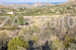 Rustic land with ruin - imagen 12