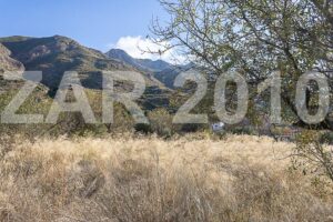 Rustic land with ruin - imagen 13