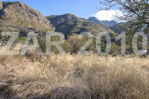Rustic land with ruin - imagen 14